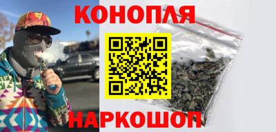 сатива Можга