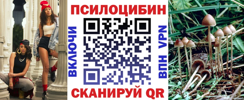 Псилоцибиновые грибы Cubensis Комсомольск-на-Амуре
