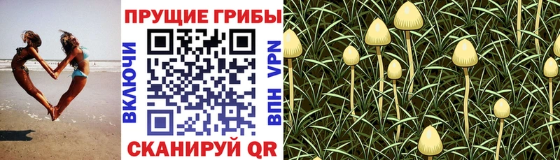 Галлюциногенные грибы прущие грибы  Комсомольск-на-Амуре 