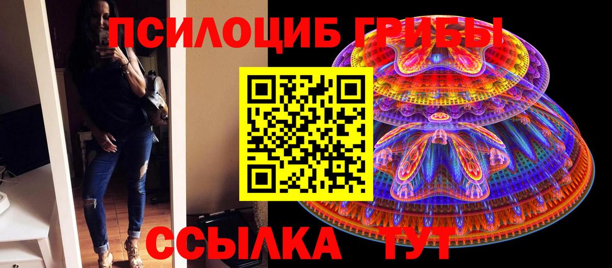 Комсомольск-на-Амуре  Псилоцибиновые грибы Psilocybine cubensis  Вход с VPN 