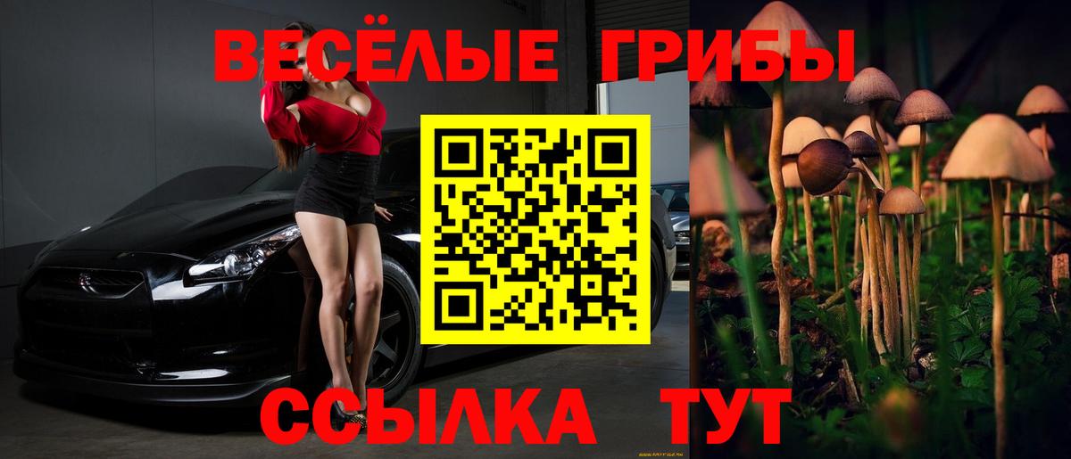 Псилоцибиновые грибы MAGIC MUSHROOMS Комсомольск-на-Амуре
